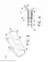 Fig. 05 - Pushable coaxial balloon catheter