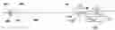 Fig. 01 - Configuration and method for fixation of a filter to a catheter