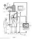 Fig. 08 - BODILY SEALANTS AND METHODS AND APPARATUS FOR IMAGE-GUIDED DELIVERY OF SAME
