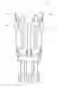 Fig. 01 - Device for mixing and dispensing of two-component reactive surgical sealant