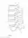 Fig. 02 - Orthopedic expansion fastener