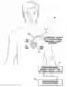 Fig. 01 - Systems and methods for assessing the sphericity and dimensional extent of heart chambers for use with an implantable medical device