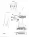 Fig. 02 - Systems and methods for assessing the sphericity and dimensional extent of heart chambers for use with an implantable medical device