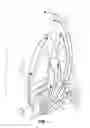 Fig. 02 - THERAPEUTIC DIAPHRAGM STIMULATION DEVICE AND METHOD