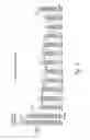 Fig. 04 - Selective high frequency spinal cord modulation for inhibiting pain with reduced side effects, and associated systems and methods