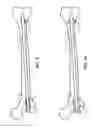Fig. 05 - Surgical Implant