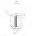 Fig. 02 - URETHRAL STENT FOR THE PROSTATE