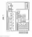 Fig. 08 - VISUALIZATION SYSTEM FOR ORGANIZATIONAL COMMUNICATION