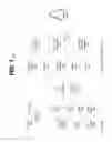 Fig. 02 - Revocable indication of session termination