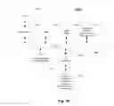 Fig. 17 - Data clustering
