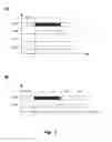 Fig. 02 - Interface system, and corresponding integrated circuit and method