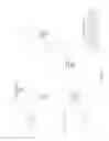 Fig. 02 - High security display of private data