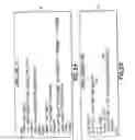 Fig. 18 - Redaction with classification and archiving for format independence