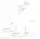 Fig. 01 - Enhanced World Wide Web-Based Communications
