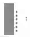 Fig. 07 - Implementation of factor graphs