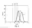 Fig. 07 - Model library implementation and methodology for worst case performance modeling for SRAM cells