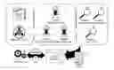 Fig. 01 - Test management domain asset discovery and analysis