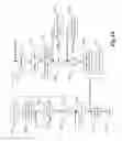 Fig. 07 - Fast and linearizable concurrent priority queue via dynamic aggregation of operations