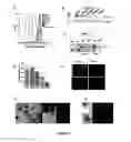 Fig. 03 - METHODS USING AXL AS A BIOMARKER OF EPITHELIAL-TO-MESENCHYMAL TRANSITION