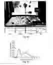 Fig. 07 - COMPOSITIONS AND METHODS FOR EVALUATING COGNITIVE DEFECTS