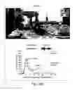 Fig. 12 - COMPOSITIONS AND METHODS FOR EVALUATING COGNITIVE DEFECTS