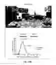 Fig. 13 - COMPOSITIONS AND METHODS FOR EVALUATING COGNITIVE DEFECTS