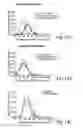 Fig. 16 - COMPOSITIONS AND METHODS FOR EVALUATING COGNITIVE DEFECTS