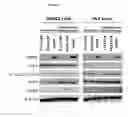 Fig. 09 - Compositions and methods for inhibiting expression of RRM2 genes