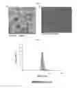 Fig. 07 - Extracellular vesicles derived from gram-positive bacteria, and use thereof