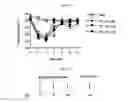 Fig. 16 - Extracellular vesicles derived from gram-positive bacteria, and use thereof