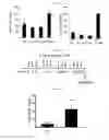 Fig. 24 - Extracellular vesicles derived from gram-positive bacteria, and use thereof
