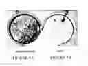 Fig. 07 - CUSTOM-MADE MEGANUCLEASE AND USE THEREOF
