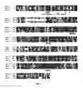 Fig. 06 - Desaturases and methods of using them for synthesis of polyunsaturated fatty acids