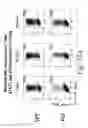 Fig. 49 - T-Bet Compositions and Methods of Use Thereof