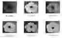 Fig. 01 - METHOD FOR ALTERING DEPTH OF FLOWER COLOR FOR THE LIGHTER OR DEEPER