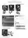 Fig. 07 - Methods for modulating cell proliferation in the seed coat and/or integument