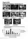 Fig. 47 - Methods for modulating cell proliferation in the seed coat and/or integument