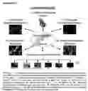 Fig. 02 - Sequence-determined DNA fragments and corresponding polypeptides encoded thereby