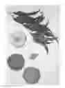 Fig. 02 - Peach tree, 'Burpeachtwentyseven'