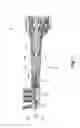 Fig. 06 - Cleaning section of an electric oral hygiene device