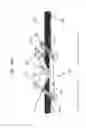 Fig. 71 - Fixturing apparatus