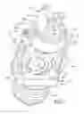 Fig. 02 - Method of making a flow shaper for a sprinkler assembly