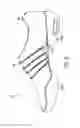 Fig. 04 - Dance shoe