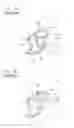 Fig. 07 - Weather strip having a drainage structure