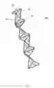 Fig. 06 - Sheet Metal Construction Truss and its Method of Continuous Automated Manufacture