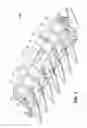 Fig. 02 - Twisted Stalk Chopping Knives For Corn Headers