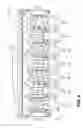 Fig. 03 - Twisted Stalk Chopping Knives For Corn Headers