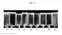Fig. 02 - FINING AGENTS FOR SILICATE GLASSES