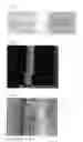 Fig. 02 - Photoreduction processing method of three-dimensional metal nanostructure