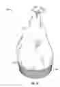 Fig. 07 - Pre-filtration and maintenance sensing for explosion-proof enclosures